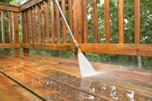 Animal Enclosure Cleaning in Bennettsville, SC